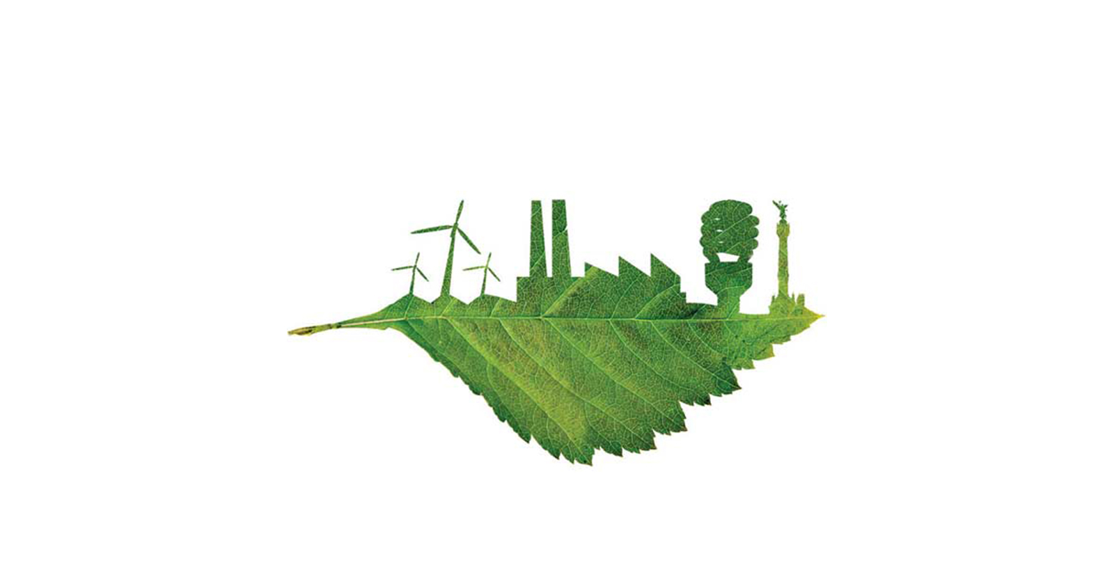 Consultoría Ambiental en Monterrey