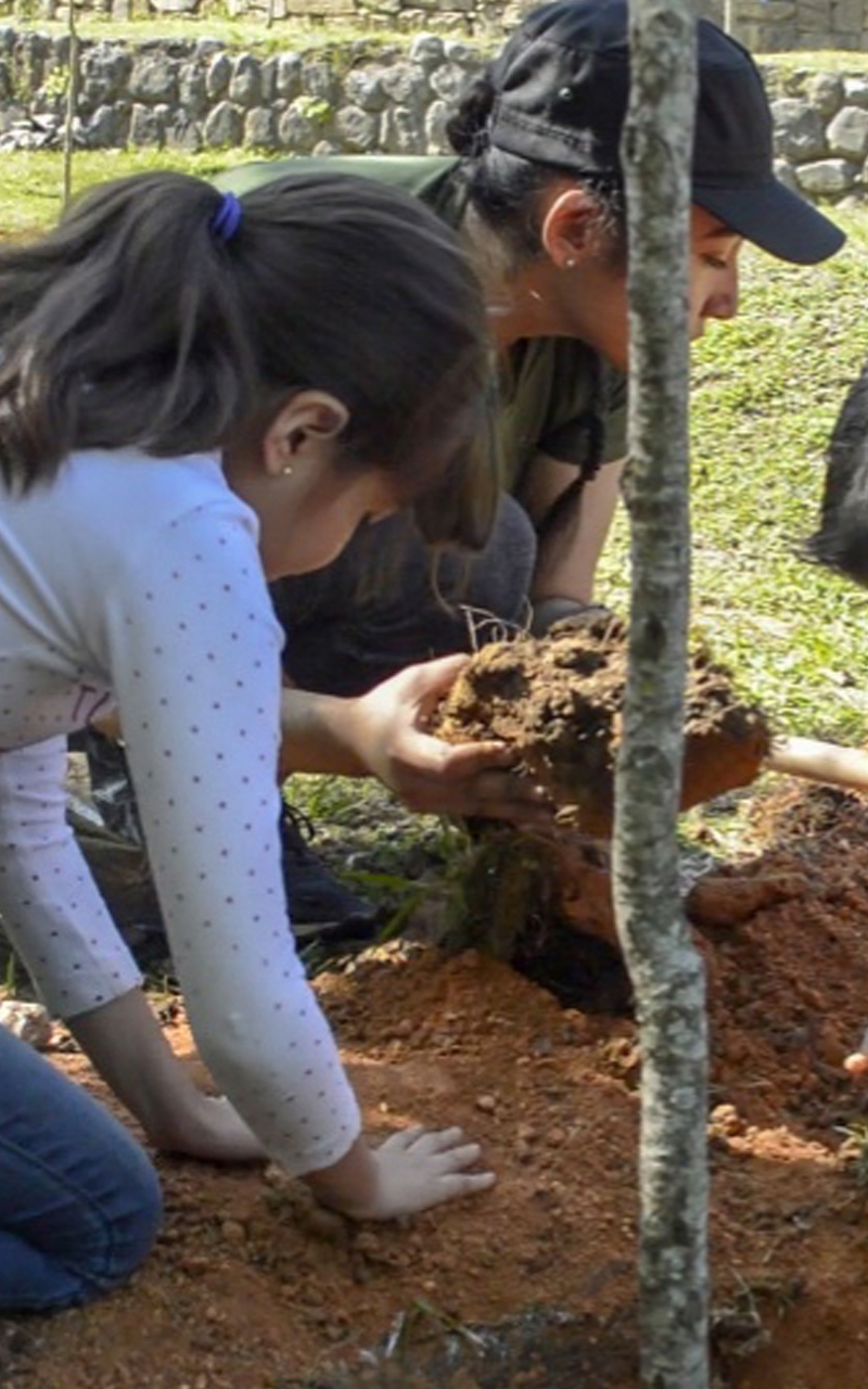 Proyecto ambiental AMCO 4