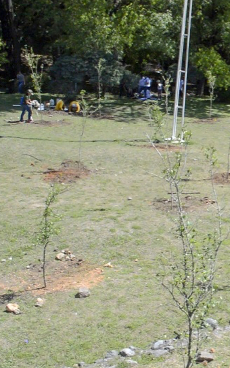 Proyecto ambiental AMCO 3